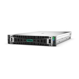 HPE ProLiant Compute DL380 Gen12 - Serveur - Montable sur rack 2U - 2 voies - 1 x Xeon 6505P - jusq... (P89316-425)_1